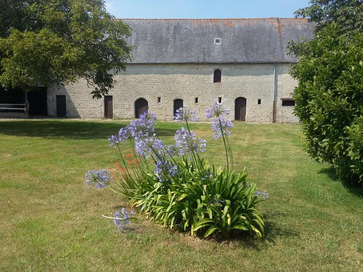 Couette-café Sainte-mère-église - Ferme De Beauvais Sainte-Mère-Église